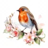 15 High-Quality Robin Clipart - Birds digital watercolor JPG instant download for commercial use - Digital download
