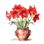 21 High-Quality Amaryllis Pots Clipart - Amaryllis pots digital watercolor JPG instant download for commercial use - Digital download