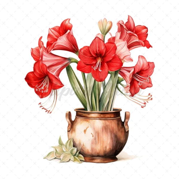 21 High-Quality Amaryllis Pots Clipart - Amaryllis pots digital watercolor JPG instant download for commercial use - Digital download