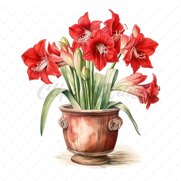 21 High-Quality Amaryllis Pots Clipart - Amaryllis pots digital watercolor JPG instant download for commercial use - Digital download