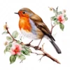 15 High-Quality Robin Clipart - Birds digital watercolor JPG instant download for commercial use - Digital download