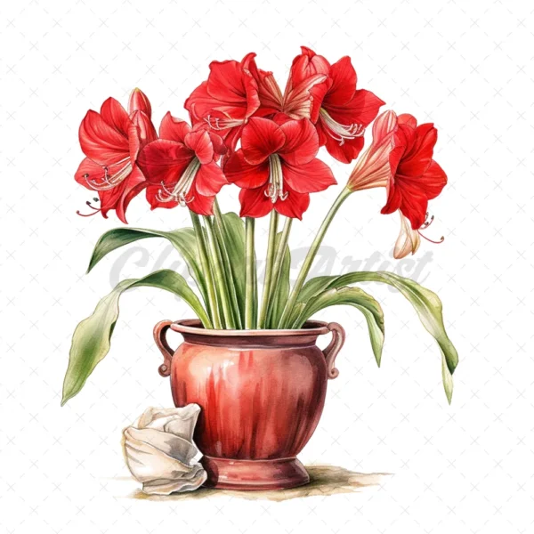 21 High-Quality Amaryllis Pots Clipart - Amaryllis pots digital watercolor JPG instant download for commercial use - Digital download