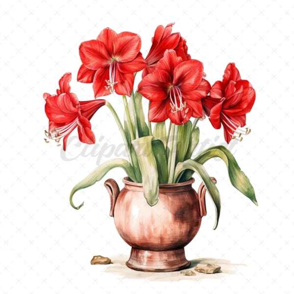 21 High-Quality Amaryllis Pots Clipart - Amaryllis pots digital watercolor JPG instant download for commercial use - Digital download