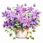 17 High-Quality Clematis Flowers Clipart - Clematis flowers colorful digital JPG instant download for commercial use