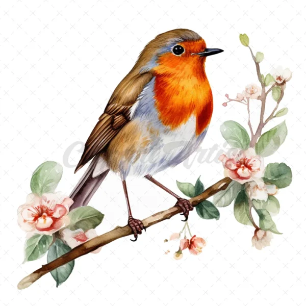 15 High-Quality Robin Clipart - Birds digital watercolor JPG instant download for commercial use - Digital download