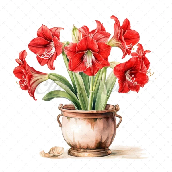 21 High-Quality Amaryllis Pots Clipart - Amaryllis pots digital watercolor JPG instant download for commercial use - Digital download