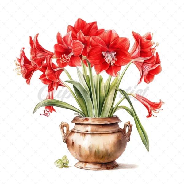 21 High-Quality Amaryllis Pots Clipart - Amaryllis pots digital watercolor JPG instant download for commercial use - Digital download