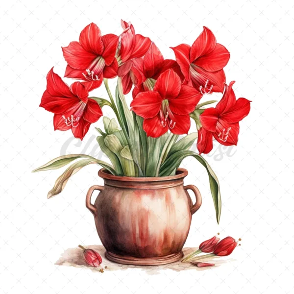 21 High-Quality Amaryllis Pots Clipart - Amaryllis pots digital watercolor JPG instant download for commercial use - Digital download
