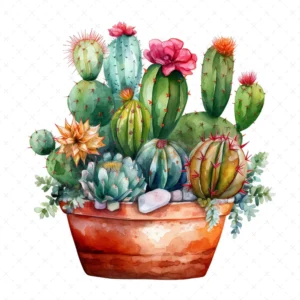 20 High-Quality Cactus Clipart - Cactus watercolor digital clipart JPG instant download for commercial use - Digital download