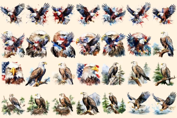 Eagles Watercolor Clipart Bundle - 177+ transparent PNG, Forest eagle illustration, Alpine bird graphics, Commercial use, Digital download