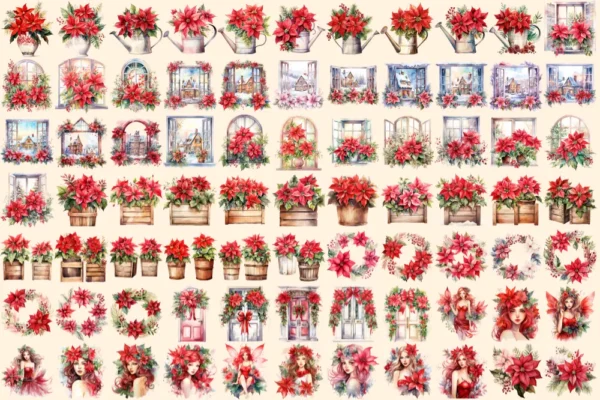 Poinsettias Watercolor Clipart Bundle - 515+ transparent PNG, Festive floral graphics, Poinsettia images, Commercial use, Digital download
