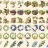 Olives Watercolor Clipart Bundle - 405+ transparent PNG, Mediterranean charm illustrations, Olive images, Commercial use, Digital download