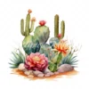 20 High-Quality Desert Cacti Clipart - Desert cacti digital watercolor JPG instant download for commercial use - Digital download