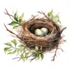 20 High-Quality Bird Nest Clipart - Bird nest digital watercolor JPG instant download for commercial use - Digital download