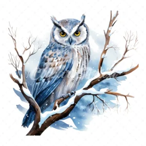 20 High-Quality Winter Owls Clipart - Winter owls digital watercolor JPG instant download for commercial use - Digital download