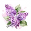 20 High-Quality Lilac Clipart - Lilac flower digital watercolor JPG instant download for commercial use - Digital download