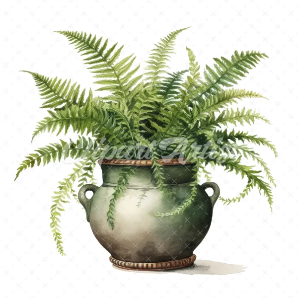 20 High-Quality Fern Antique Pot Clipart - digital watercolor JPG instant download for commercial use - Digital download