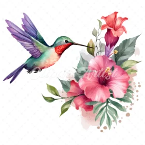20 High-Quality Floral Hummingbird Clipart - Hummingbird digital watercolor JPG instant download for commercial use - Digital download