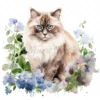 20 High-Quality Ragdoll Cats Clipart - Ragdoll cat digital watercolor JPG instant download for commercial use - Digital download