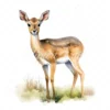20 High-Quality Dik-Dik Antelope Clipart - Dik-dik antelope digital watercolor JPG instant download for commercial use - Digital download