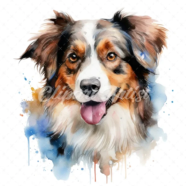 20 High-Quality Australian Shepherd Clipart - Shepherd digital watercolor JPG instant download for commercial use - Digital download