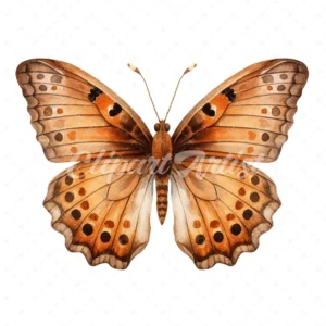 20 High-Quality Brown Butterfly Clipart - Brown butterfly digital watercolor JPG instant download for commercial use - Digital download