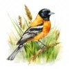 20 High-Quality Baltimore Oriole Clipart - Baltimore oriole digital watercolor JPG instant download for commercial use - Digital download
