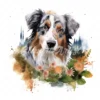 20 High-Quality Australian Shepherd Clipart - Shepherd dog digital watercolor JPG instant download for commercial use - Digital download