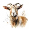 20 High-Quality Kiko Goat Clipart - Kiko goat digital watercolor JPG instant download for commercial use - Digital download