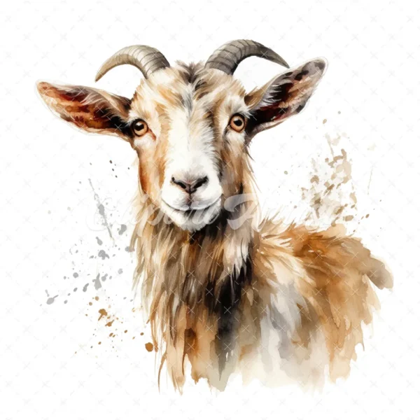 20 High-Quality Kiko Goat Clipart - Kiko goat digital watercolor JPG instant download for commercial use - Digital download