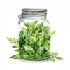 20 High-Quality Herbs Jar Clipart - Herbs jar digital watercolor JPG instant download for commercial use - Digital download