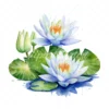 20 High-Quality Water Lily Clipart - Water lily digital watercolor JPG instant download for commercial use - Digital download