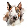 20 High-Quality Bull Terrier Portrait Clipart - Bull terrier digital watercolor JPG instant download for commercial use - Digital download