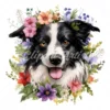 20 High-Quality Floral Border Collie Clipart - Border collie digital watercolor JPG instant download for commercial use - Digital download