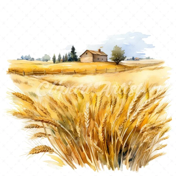 19 High-Quality Wheat Farm Clipart - Wheat farm digital watercolor JPG instant download for commercial use - Digital download