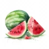 20 High-Quality Watermelon Clipart - Watermelon digital watercolor JPG instant download for commercial use - Digital download