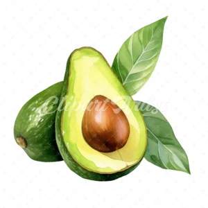 20 High-Quality Avocado Clipart - Avocado digital watercolor JPG instant download for commercial use - Digital download