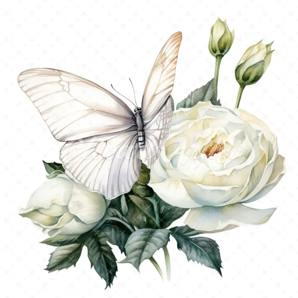 19 High-Quality White Butterfly Rose Clipart -White Butterfly digital watercolor JPG instant download for commercial use - Digital download