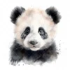 20 High-Quality Baby Panda Portrait Clipart - Panda Portrait digital watercolor JPG instant download or commercial use - Digital download