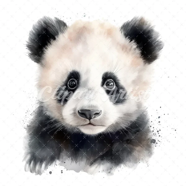 20 High-Quality Baby Panda Portrait Clipart - Panda Portrait digital watercolor JPG instant download or commercial use - Digital download