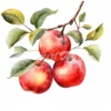 19 High-Quality Apples on Branch Clipart - Apple Barbecue digital watercolor JPG instant download for commercial use - Digital download