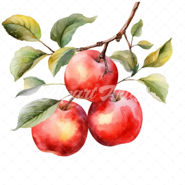 19 High-Quality Apples on Branch Clipart - Apple Barbecue digital watercolor JPG instant download for commercial use - Digital download