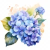 20 High-Quality Hydrangea Clipart - Hydrangea flower digital watercolor JPG instant download for commercial use - Digital download