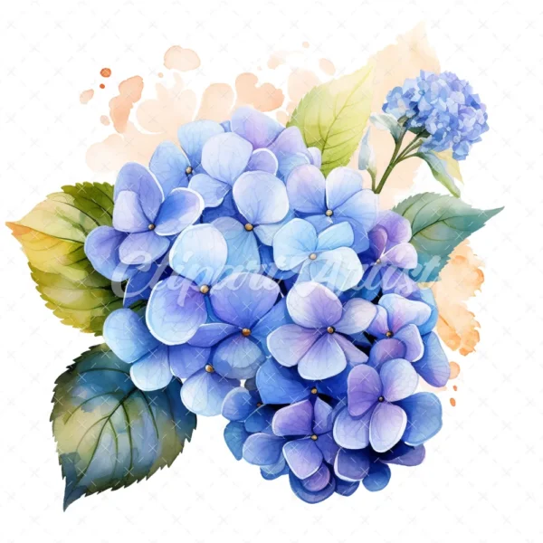20 High-Quality Hydrangea Clipart - Hydrangea flower digital watercolor JPG instant download for commercial use - Digital download