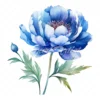 20 High-Quality Blue Peony Clipart - Blue peony flower digital watercolor JPG instant download for commercial use - Digital download