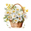 20 High-Quality Daisies Basket Clipart - Daisies basket digital watercolor JPG instant download for commercial use - Digital download
