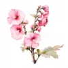 20 High-Quality Hollyhock Clipart - Hollyhock flowers digital watercolor JPG instant download for commercial use - Digital download