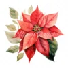 20 High-Quality Poinsettia Clipart - Poinsettia flower digital watercolor JPG instant download for commercial use - Digital download