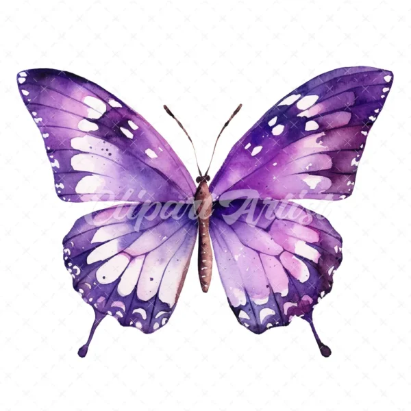 24 High-Quality Purple Butterfly Clipart - Purple butterfly digital watercolor JPG instant download for commercial use - Digital download