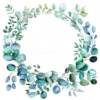 20 High-Quality Eucalyptus Wreath Clipart - Eucalyptus wreath digital watercolor JPG instant download for commercial use - Digital download